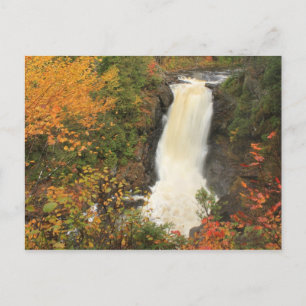 Carte Postale Moxie Falls à l'automne The Forks Maine
