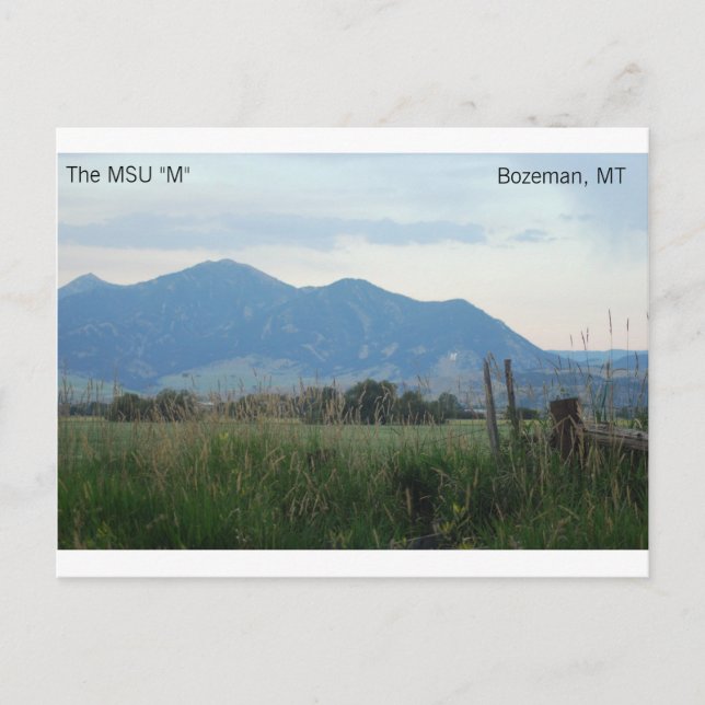 Carte postale MSU "M" (Devant)