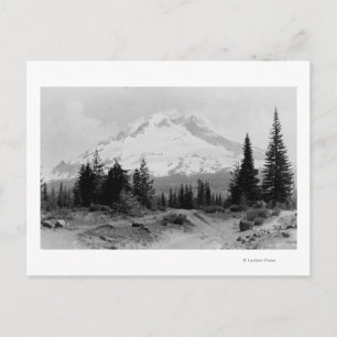 Carte Postale Mt. Hood Vue du camp du gouvernement Photo