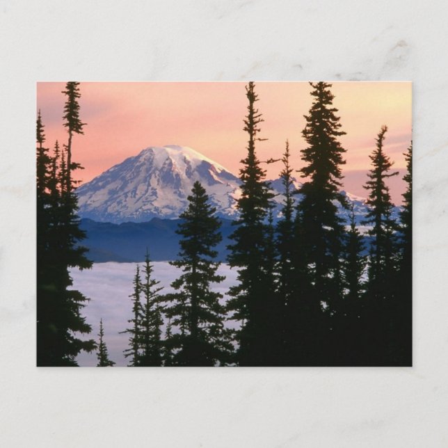 Carte Postale Mt. Ranier, Washington (Devant)