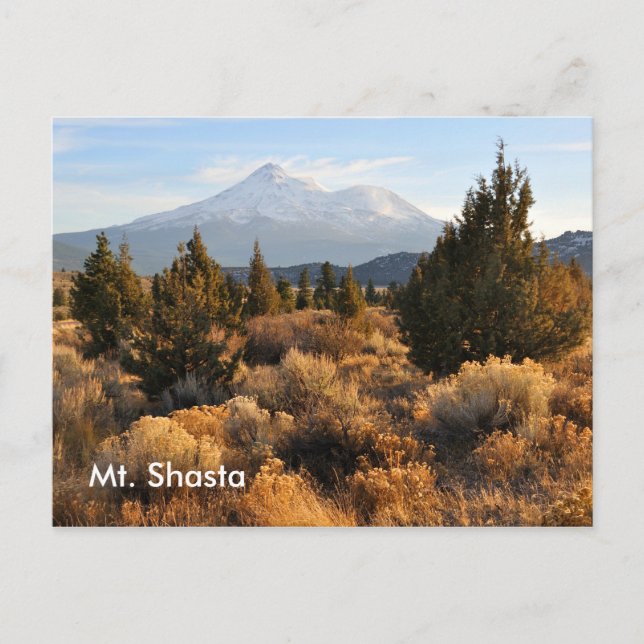 Carte Postale Mt. Shasta en automne (Devant)