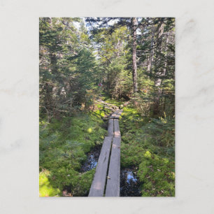 Carte postale Mt. Tom New Hampshire
