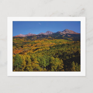 Carte Postale "Mt Wilson - Aspen Tree Valley"
