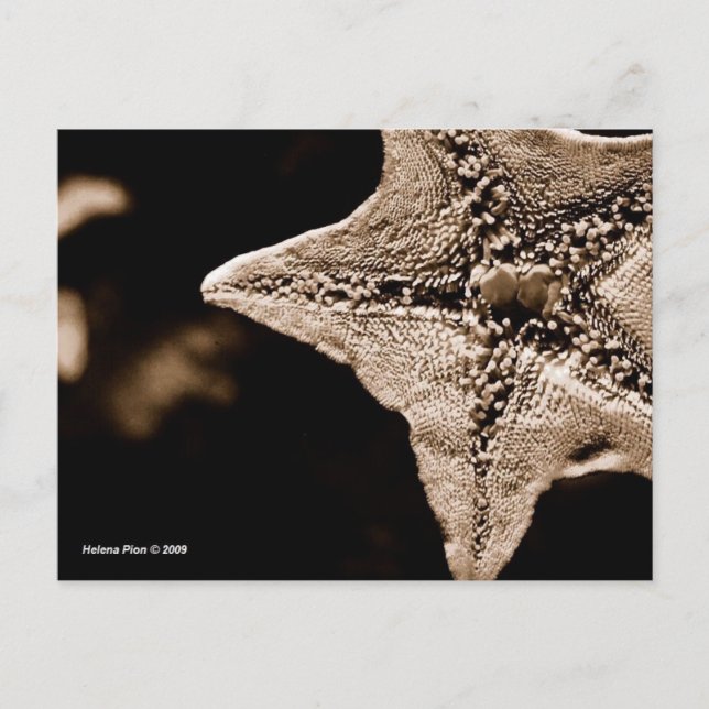 CARTE POSTALE MTV 7 (Devant)