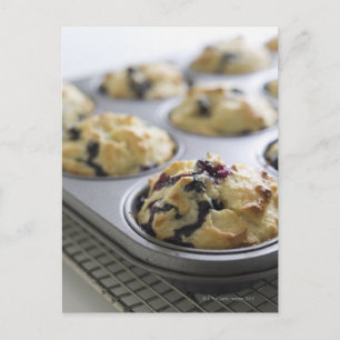 Carte Postale muffins bleuets dans une boîte à cuisson sur le re