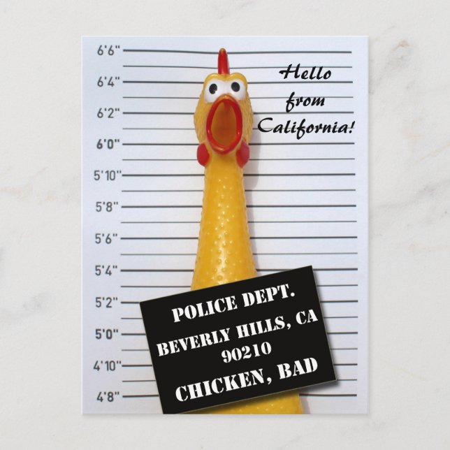 Carte Postale Mugshot De Chicken Beverly Hills ! (Devant)
