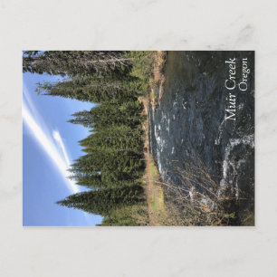 Carte Postale Muir Creek