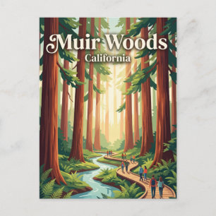 Carte Postale Muir Woods National Monument Californie