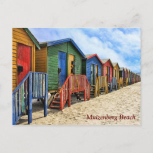 Carte Postale Muizenberg Beach Cap Afrique du Sud