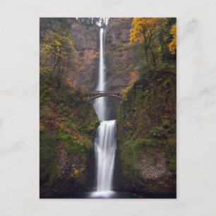 Carte Postale Multnomah Falls dans le comté d'Autumn