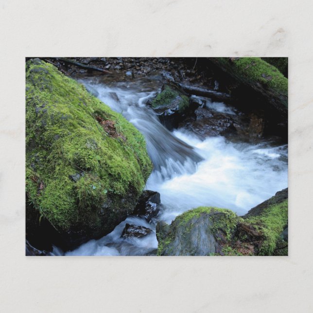 Carte postale Munson Creek (Devant)