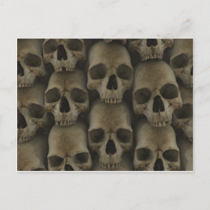 Carte Postale Mur crâne