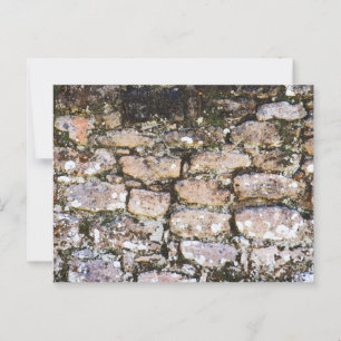 Carte Postale Mur de ruines mayas