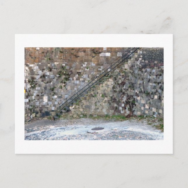 Carte Postale Mur de Savannah (Devant)