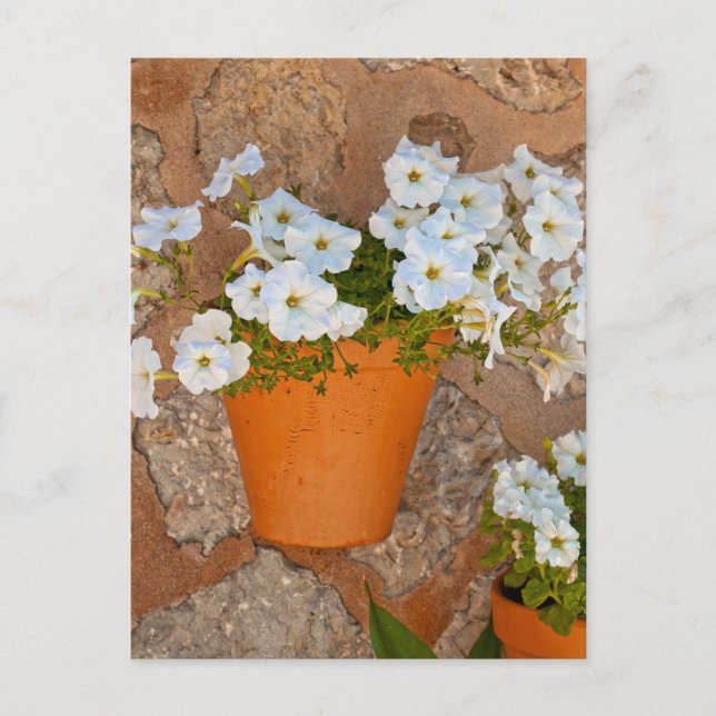 Carte Postale Mur espagnol (Devant)