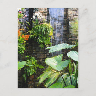 Carte Postale Mur orchidée