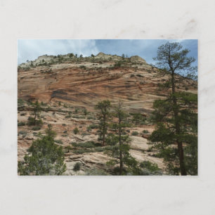 Carte Postale Murs de roche usés dans le parc national de Zion