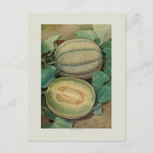 Carte Postale Muscle