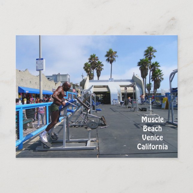 Carte postale Muscle Beach Venice ! (Devant)
