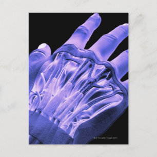 Carte Postale Muscles de la main