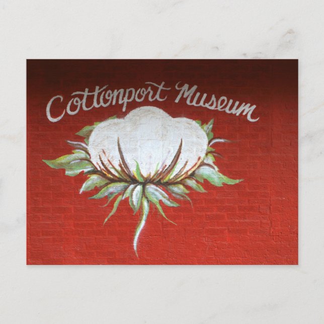 Carte Postale Musée du Cottonport (Devant)