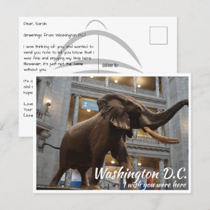 Carte Postale Musée Smithsonian de Washington DC Histoire nation