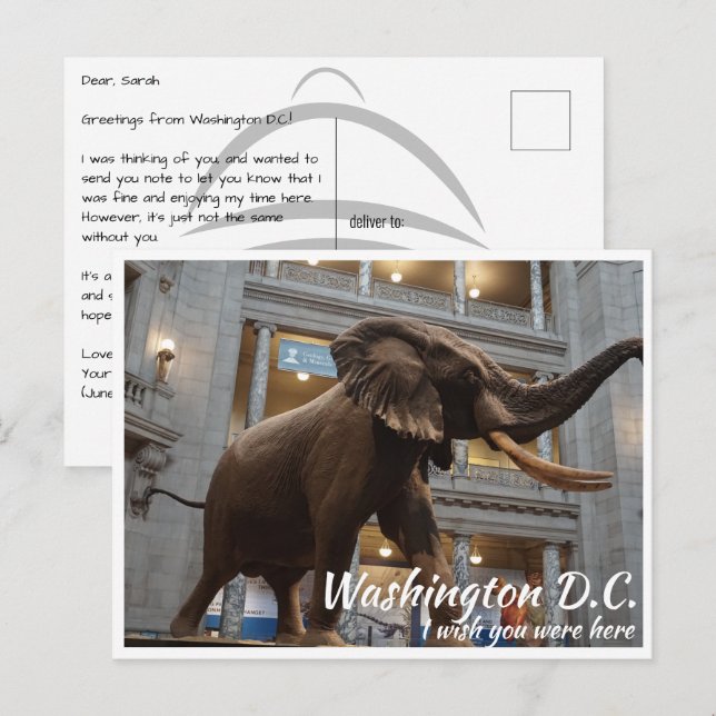 Carte Postale Musée Smithsonian de Washington DC Histoire nation (Devant / Derrière)