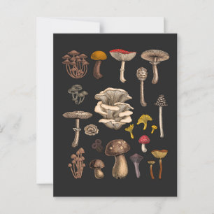 Carte Postale Mushrooms sauvages