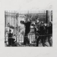 Musique de jazz jouant pour les ours