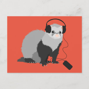Carte Postale Musique Lover Ferret