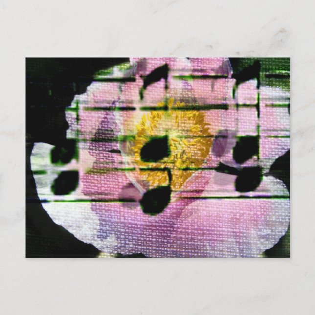 Carte Postale Musique Poppy (Devant)