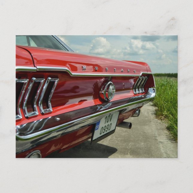 Carte postale Mustang (Devant)