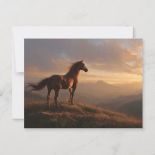 Carte Postale Mustang sauvage à regarder le coucher du soleil