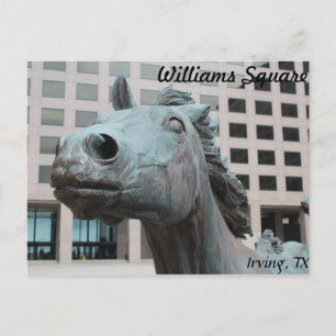 Carte Postale Mustangs de Las Colinas # 22