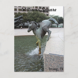 Carte Postale Mustangs de Las Colinas # 7