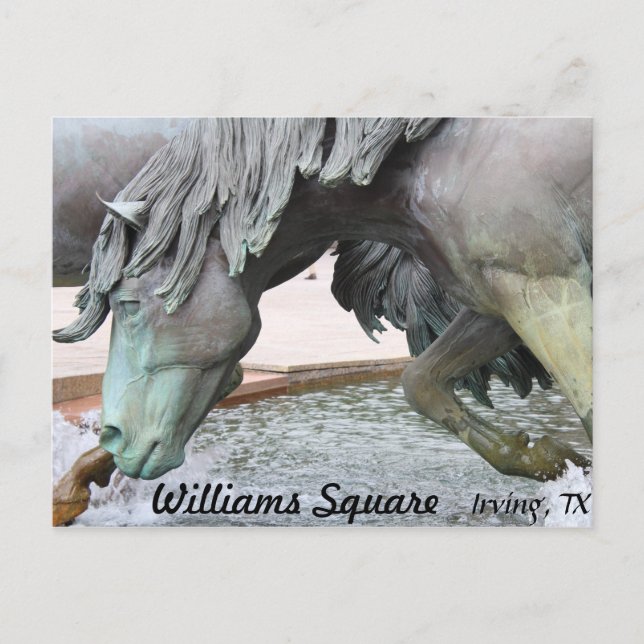 Carte Postale Mustangs de Las Colinas # 8 (Devant)