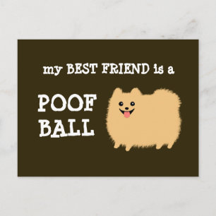 Carte Postale My Best Friend is a Poof Ball - Drôle Drôle Pom Ca