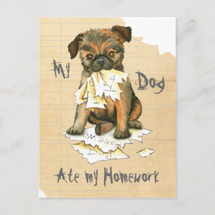 Carte Postale My Brussels Griffon Mange Mes devoirs