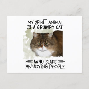 Carte Postale My Spirit Animal Is A Cat Animal Citations Cadeaux