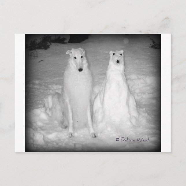 Carte Postale Mychtar et son Snowdog ! :) (Devant)