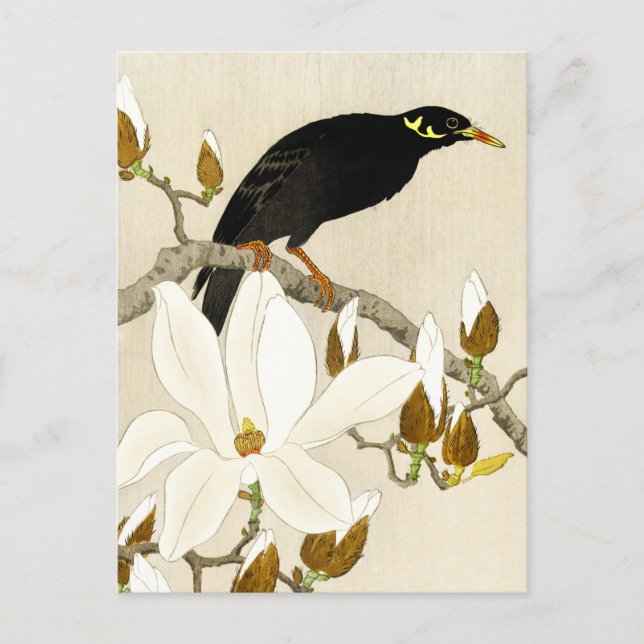 Carte Postale Myna On Magnolia Branch by Koson, Common Hill Myna (Devant)