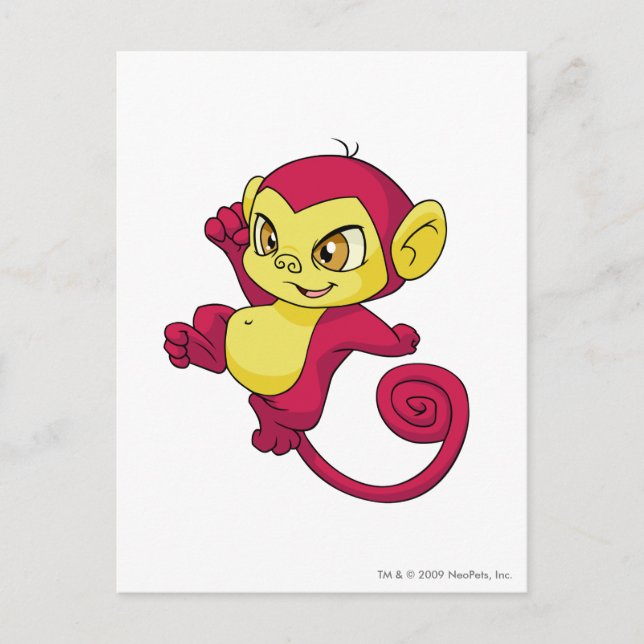 Carte Postale Mynci Rouge (Devant)