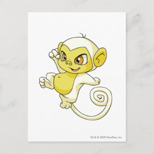 Carte Postale Mynci White