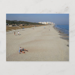 Carte Postale Myrtle Beach State Park, Caroline du Sud