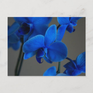 Carte Postale Mystique bleue