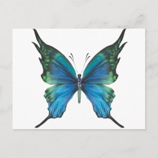 Carte Postale Mythe du printemps