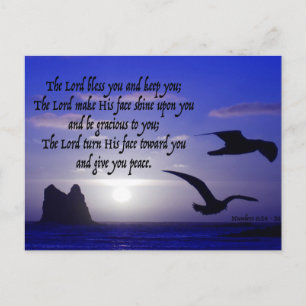 Carte Postale n° 6:24-26 sur double blues d'oiseau