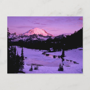 Carte Postale N.A., États-Unis, Washington, Mt. Rainier National