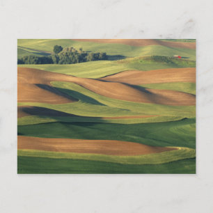 Carte Postale N.A., USA, Washington, Whitman County.