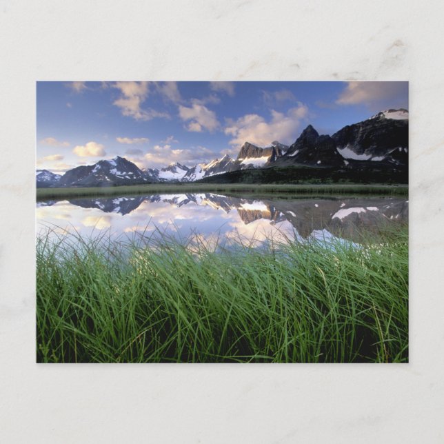 Carte Postale NA, Canada, Alberta, Tonquin Valley. Jasper (Devant)